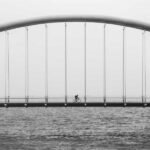 6 Fresh Discoveries to Sustain