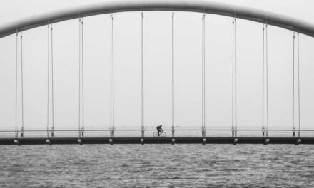 6 Fresh Discoveries to Sustain