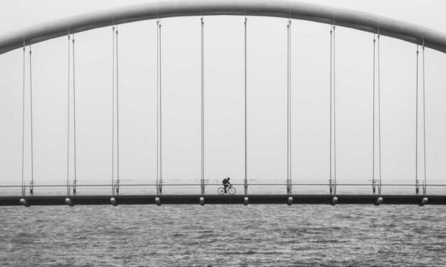 6 Fresh Discoveries to Sustain