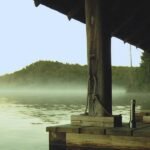 Wisdom trends to watch Next Year