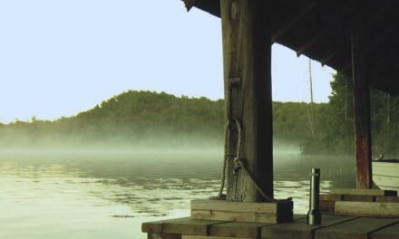 Wisdom trends to watch Next Year