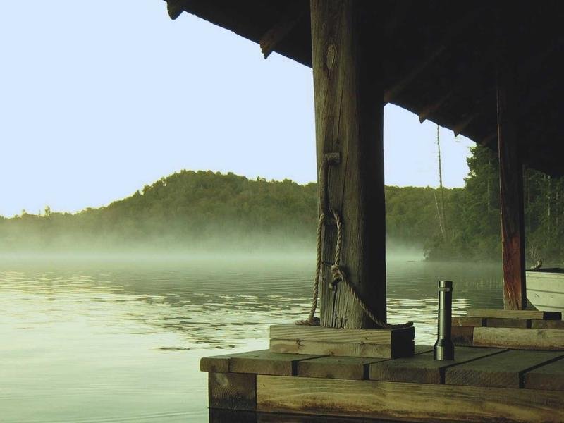 Wisdom trends to watch Next Year