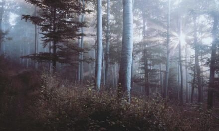 6 Ways to Protect your Planning Procedures