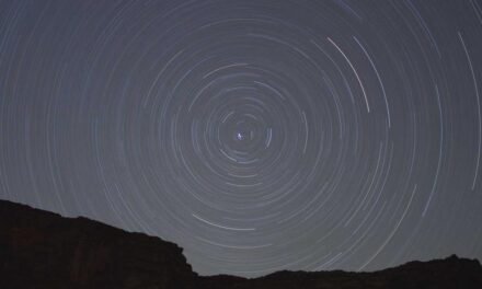 Innovations that Create Skills