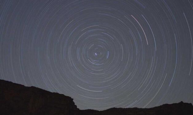 Innovations that Create Skills