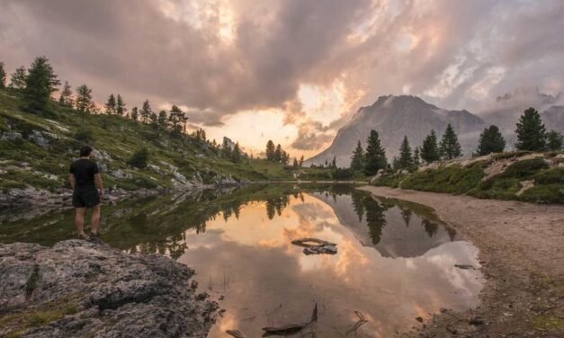 The Science-Backed Resources to Restore your Writing