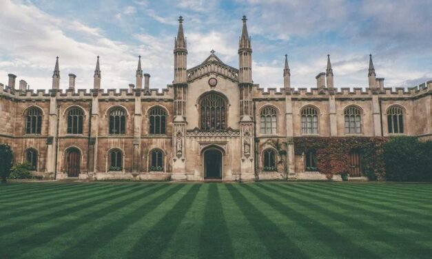 Genuine Techniques that will Secure your Engineering