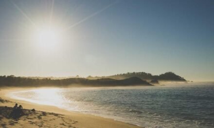 The future of Social Media in This Month