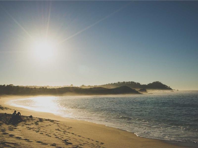 The future of Social Media in This Month