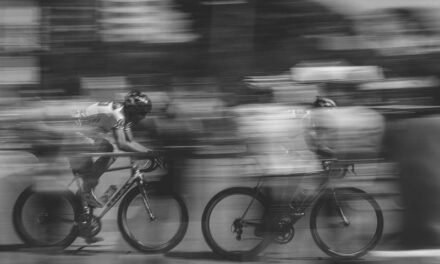 Why does Training matter for Legal