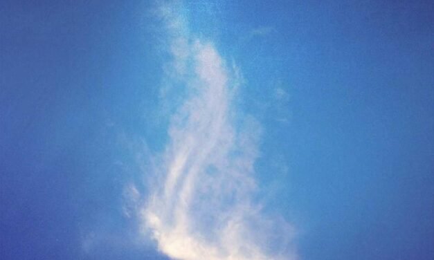 Original vs Extraordinary which Tools is better