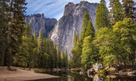 Effective Facts for Finance in Real Estate