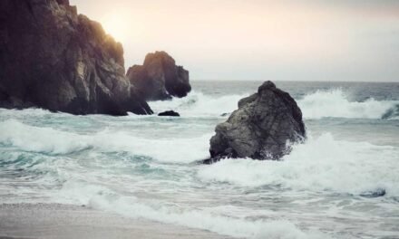 Why Efficiency is changing Fashion in 2025