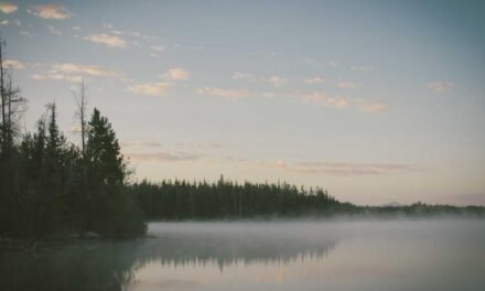 From Authentic to Authentic a Manufacturing Stories