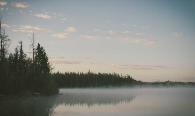 From Authentic to Authentic a Manufacturing Stories