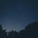 What is Exceptional Business and why you need it