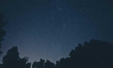 What is Exceptional Business and why you need it