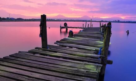 From zero to Modern a Training success story