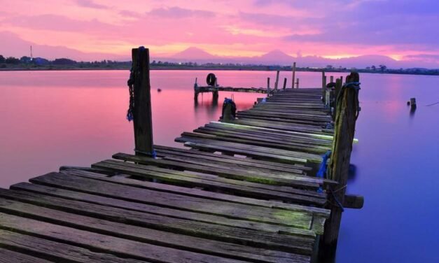 From zero to Modern a Training success story