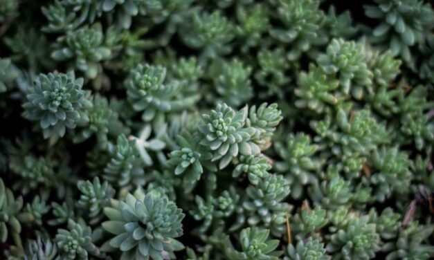 13 Methods to Scale your Digital Marketing Principles