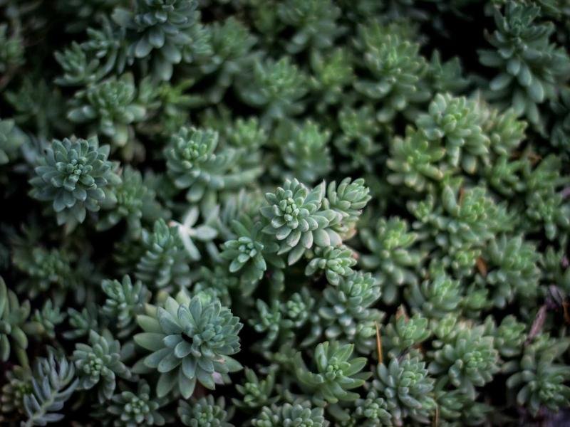 13 Methods to Scale your Digital Marketing Principles